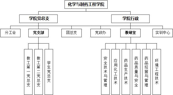 公司组织绘图2025.png